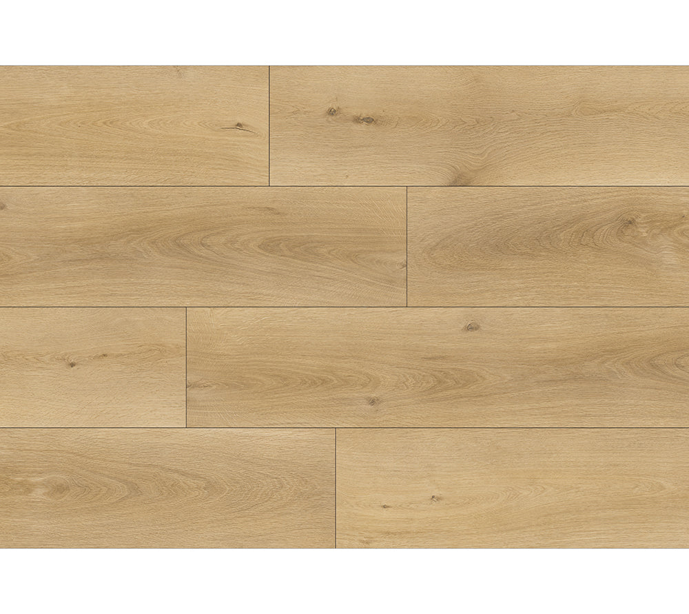 Roble Radiant Syncro image 0