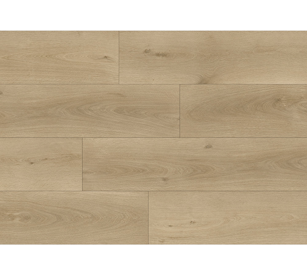 Roble Prestige Syncro image 0