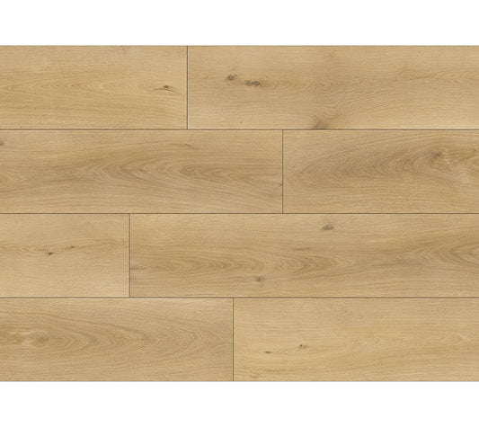 Roble Radiant Syncro image 0