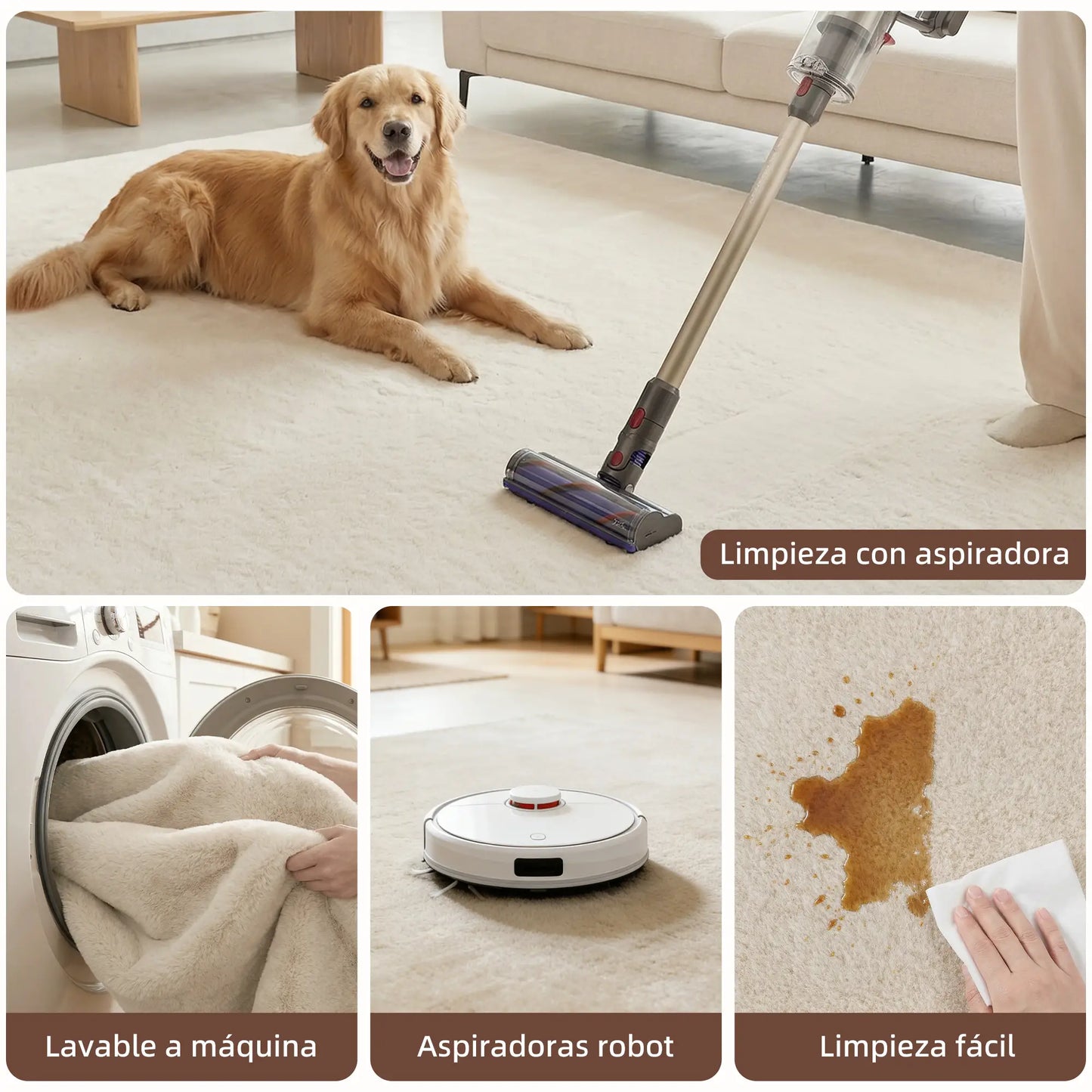 🏡 ALFOMBRA DE SALÓN 160 × 120 CM LAVABLE – PELO LARGO, SUAVIDAD Y ESTILO MODERNO