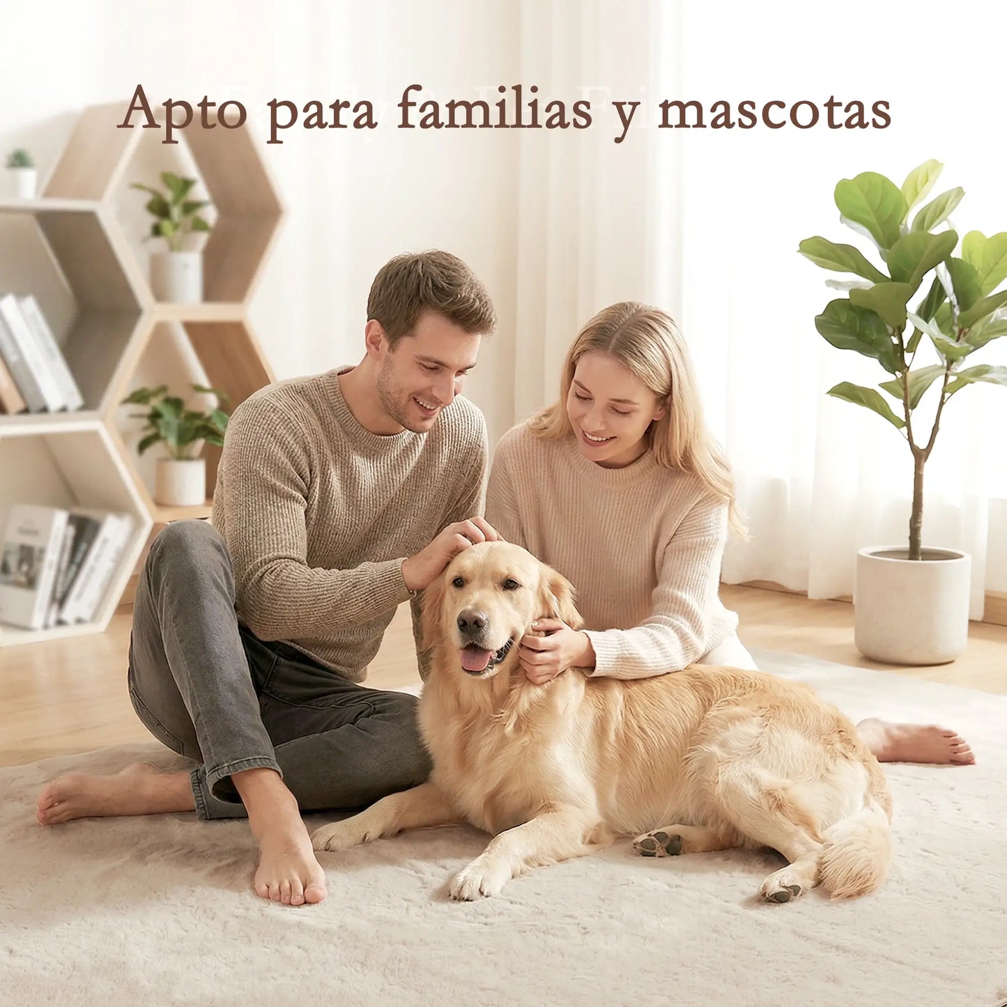 🏡 ALFOMBRA DE SALÓN 160 × 120 CM LAVABLE – PELO LARGO, SUAVIDAD Y ESTILO MODERNO